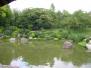  pièce d'eau Jardins de Compans Caffarelli